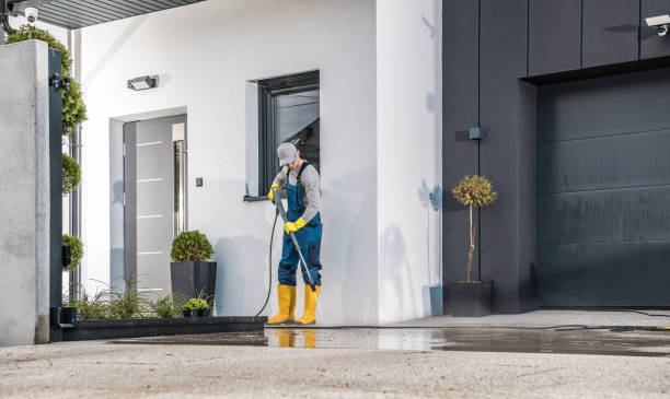 Best Fleet Vehicle Washing  in Mount Olive, IL